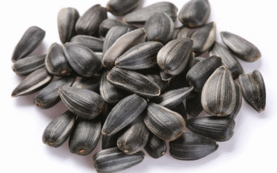 Семечки подсолнуха